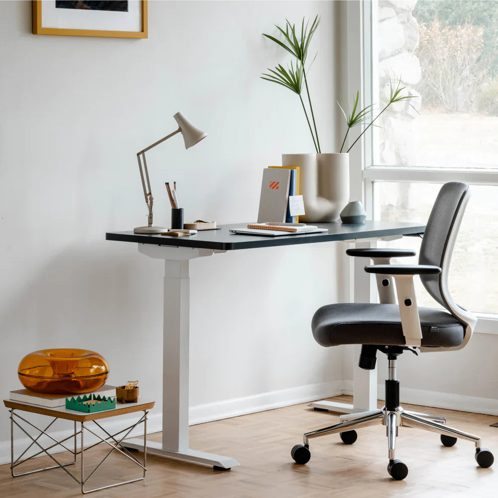 Open Box - Daily Chair
