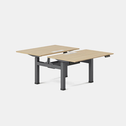 Double Standing Desk