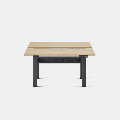 Double Standing Desk