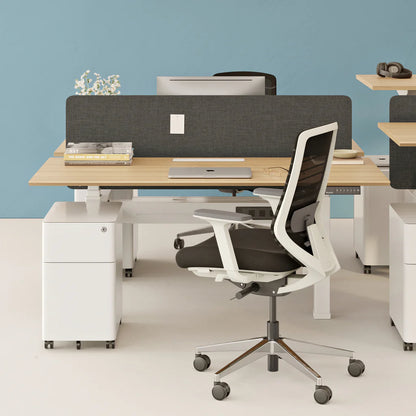 Privacy Panel, Double Standing Desk