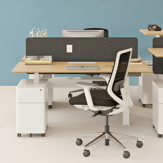 Privacy Panel, Double Standing Desk