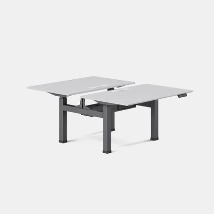 Double Standing Desk