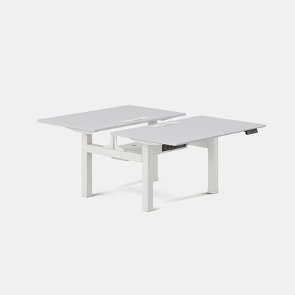 Double Standing Desk