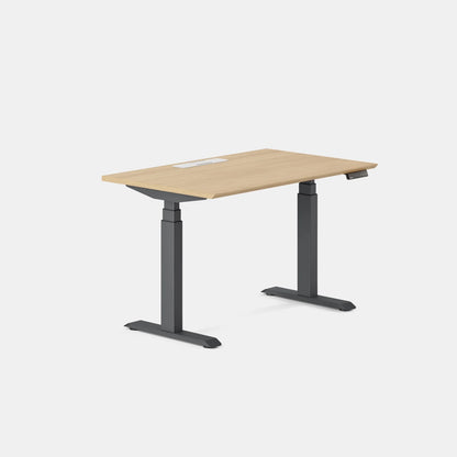 Open Box - Standing Desk